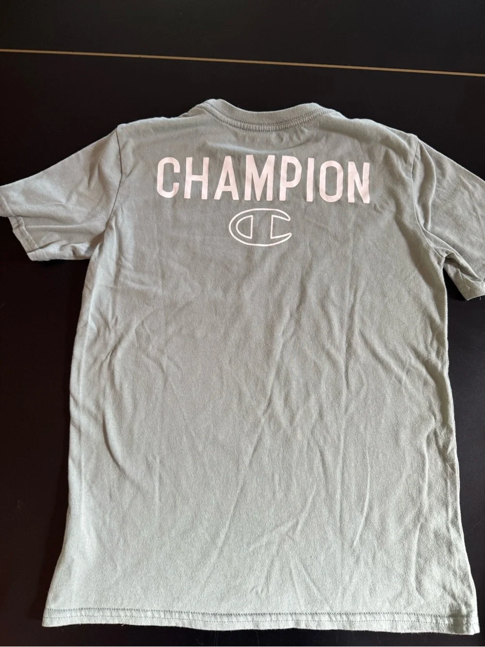 Champion Men's Sage Green Short Sleeve Tee with White Logo